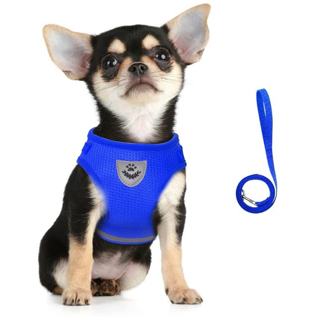 Dog Harness and Lead Set, Soft Mesh Padded Harness for Puppies and Cats, Reflective, Adjustable, Breathable Chest Harness for Walking, Running, Training (Blue,XL)