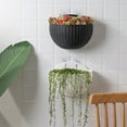thumbnail image 3 of Faithtur Flower Basket, Solid Color Wall-Mounted Half Round Flowerpot Vase, 3 of 9