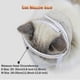 thumbnail image 5 of Cat Muzzles Breathable Mesh Muzzles Prevent Cats From Biting And Chewing Anti Bite Anti Meow Cat Grooming Restraint Bags, 5 of 5