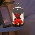 thumbnail image 4 of Eternal en cúpula de cristal para la decoración de la rojo chino 2 perfke rosa eterna, 4 of 8