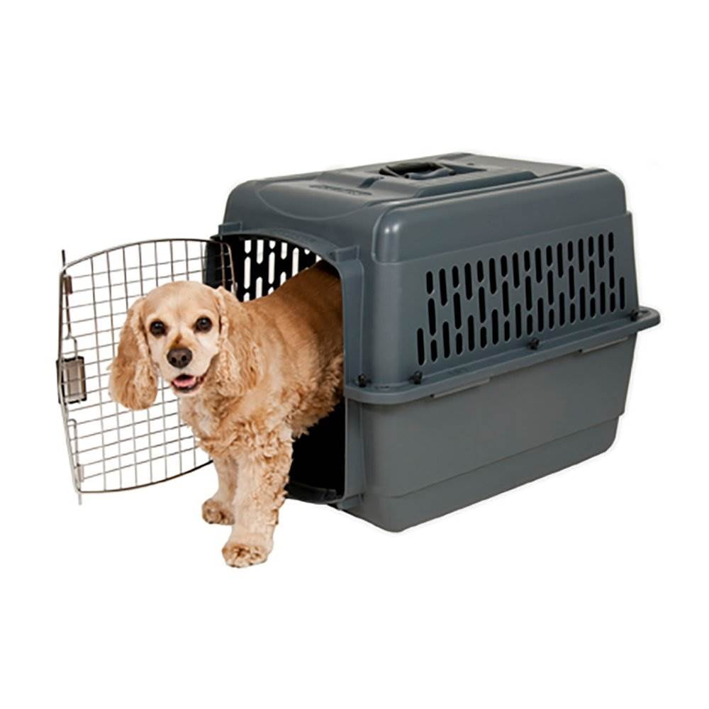 Aspen Pet Pet Porter Plastic 28 Inch Travel Carrier Kennel for 2530