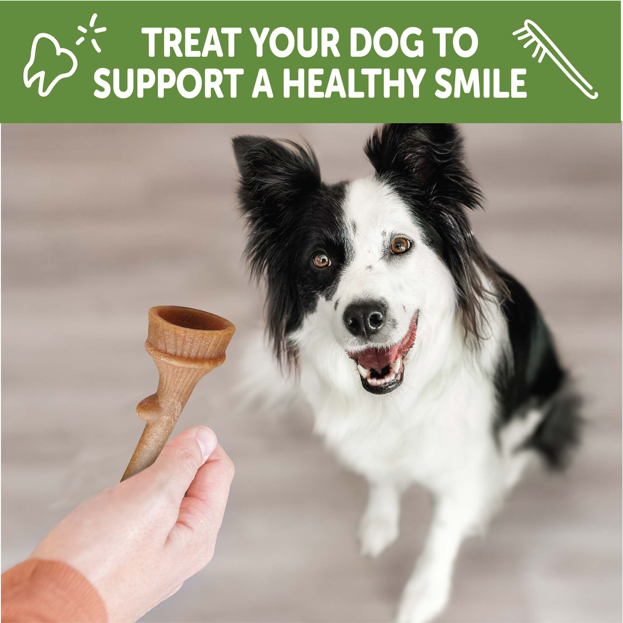 (2 pack) Wellness WHIMZEES Antler Occupy Natural Dog Dental Treat, Chews, Freshens Breath, Medium Size, 12.7 oz Bag, 12 Count