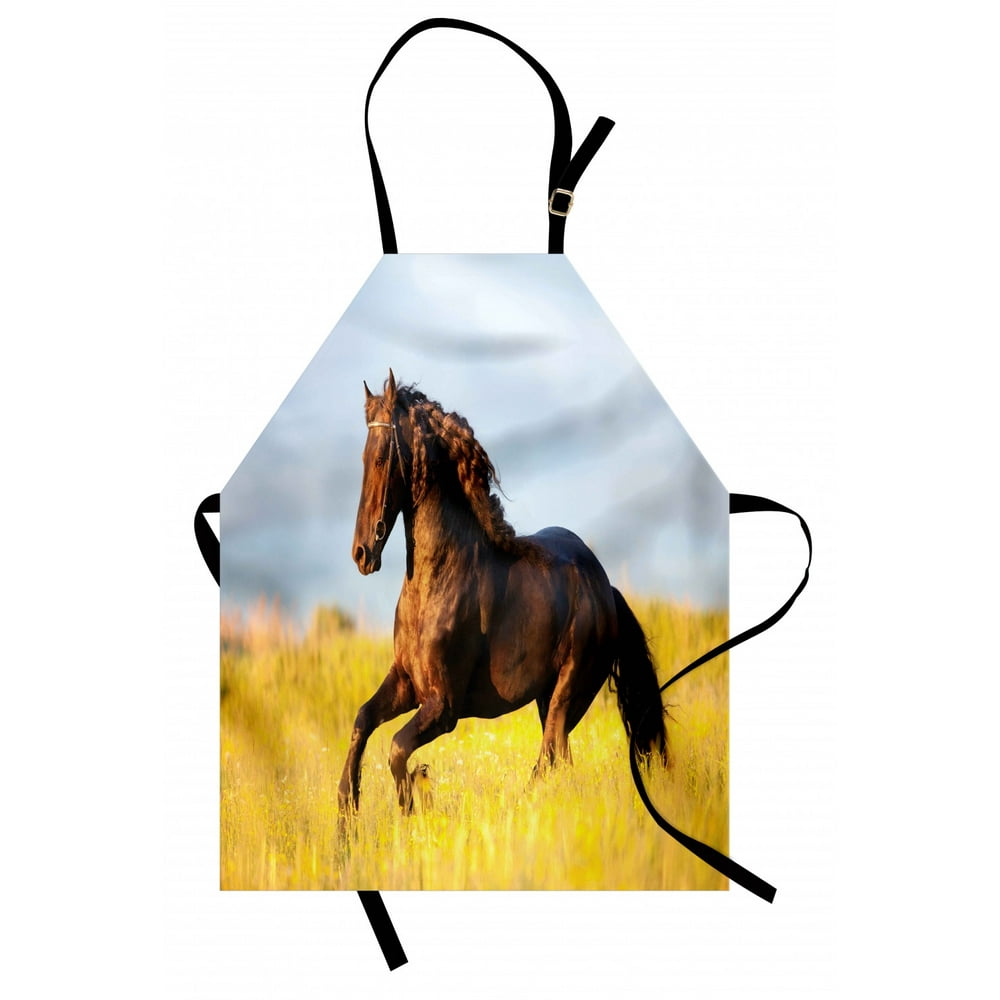 Horses Apron Friesian Horse with Mane Gallops in Meadow Equestrian