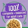 thumbnail image 4 of Friskies Indoor Gravy Turkey Dinner Wet Cat Food 156g, 4 of 9