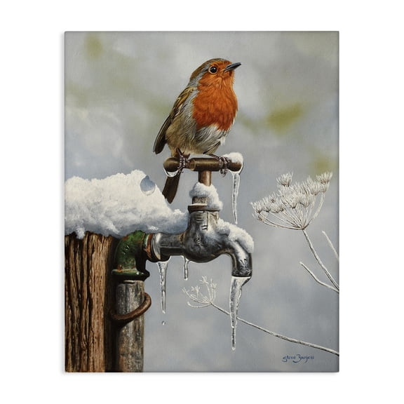 Stupell Industries Traditional Robin Bird & Winter Scene Canvas Art, 16 x 20, by Steve Burgess