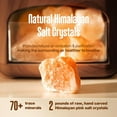 thumbnail image 3 of Pure Daily Care 2-in-1 Himalayan Pink Salt Lamp Diffuser & 10 Essential Oils Set, Dark Wood 400 ml, 3 of 6