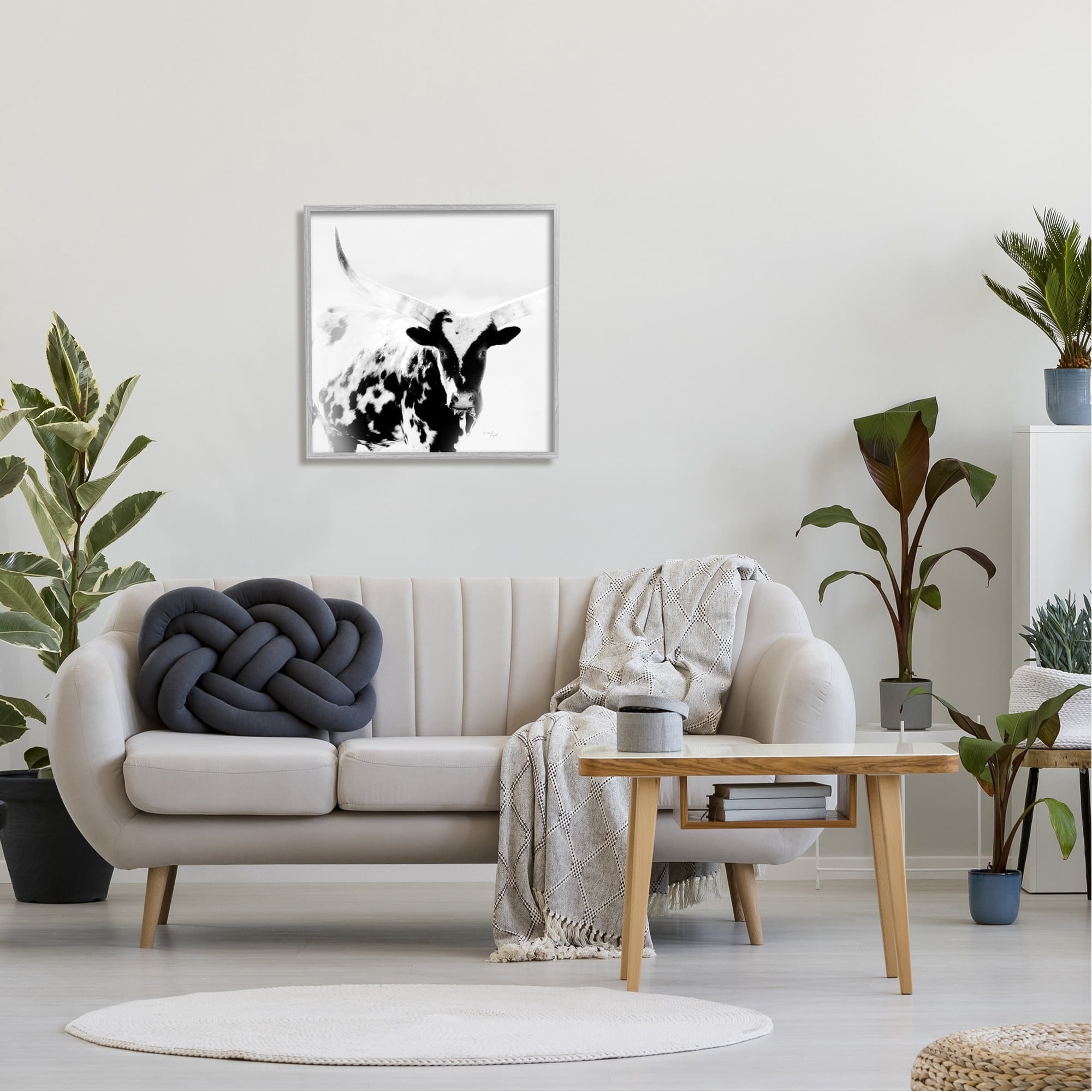 Stupell Industries Spotted Longhorn Cattle Meeting Gaze Animal Portrait Photograph Gray Framed Art Print Wall Art, Design by Jennifer Pugh