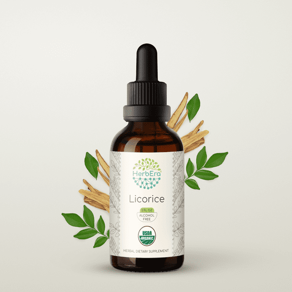 HerbEra Licorice Tincture, Organic Herbal Dietary Supplement for Digestive Support, Certified Organic Licorice (Glycyrrhiza glabra) Dried Root Extract, Natural, Alcohol-Free, Drops 2 oz
