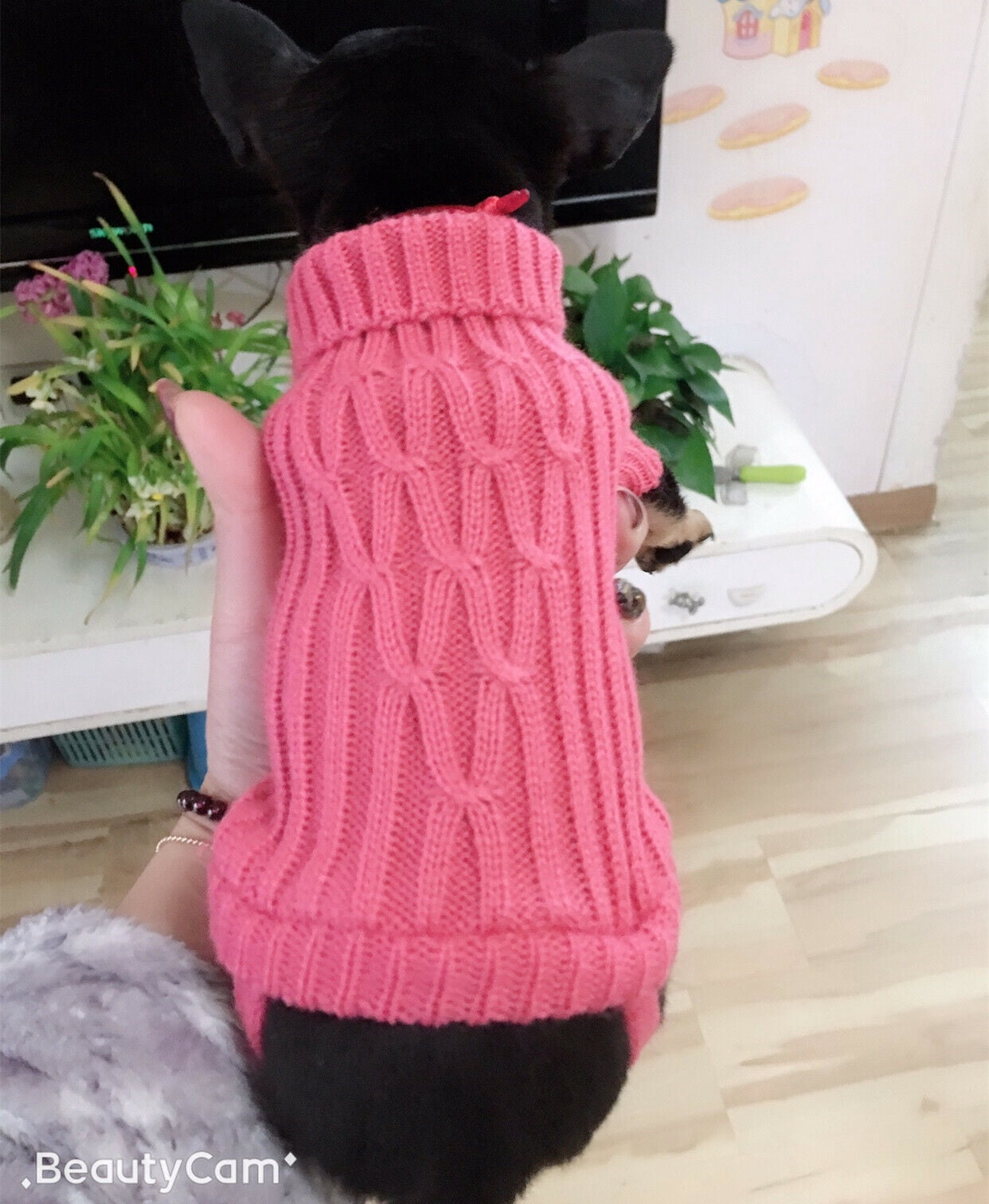 XXXS XXS XS Teacup Dog Sweater Pet Hoodie Winter Outfit for Cat