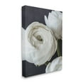 thumbnail image 3 of Stupell Industries Budding Ranunculus Flower Blooming Close Up Petals Photograph Gallery Wrapped Canvas Print Wall Art, Design by Jennifer Rigsby, 3 of 7