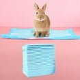 thumbnail image 3 of Flmtop 40/50/100Pcs Rabbit Super Absorbent Toilet Training Mats Pads Disposable Diapers Blue, 3 of 9