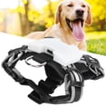 thumbnail image 1 of LED Dog Harness, Dog Chest Strap Sturdy Adjustable USB Rechargeable  For Pets S,M,L,XL, 1 of 8