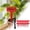 C, variant on Reusable Garden Labels with Marking Pen 20Pcs T Type Tags for Spring Greenhouse Vegetable Seedling