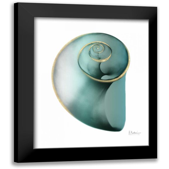 Koetsier, Albert 12x14 Black Modern Framed Museum Art Print Titled - Shimmering Snail 2