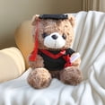 thumbnail image 1 of Juguete de oso de peluche | Tema de Graduación | Material suave y tierno | Detalles hechos a mano | Regalo para celebraciones | Compra al por mayor a granel | Oso coleccionable único | Tamaño de 10, 1 of 6