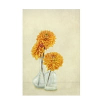 Canvas Wall Art - Gaille Gray '3 Dahlias' Wall Art for Living Room, Bedroom, or Office Décor by Trademark Fine Art - 12 x 19 Inches