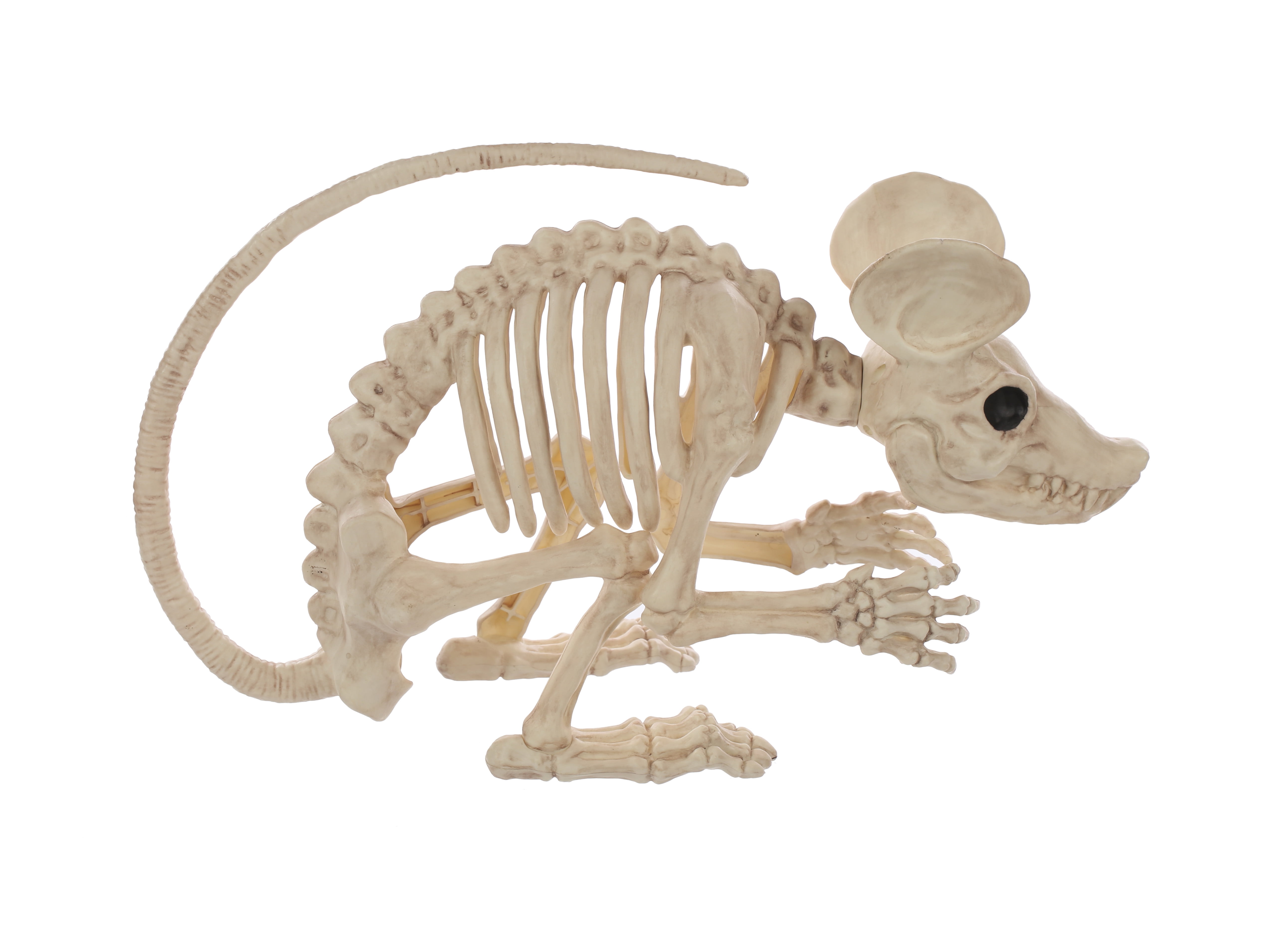 Rat Attack Giant Skeleton Rat Halloween Decoration, 20 Inches