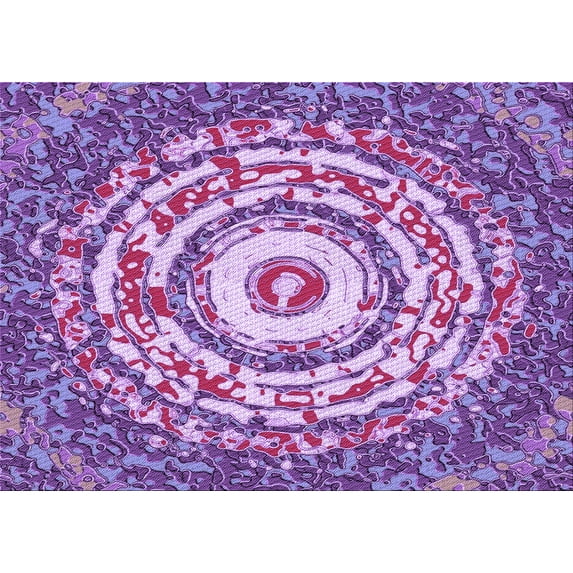 Ahgly Company Indoor Rectangle Patterned Dark Orchid Purple Area Rugs, 7' x 10'