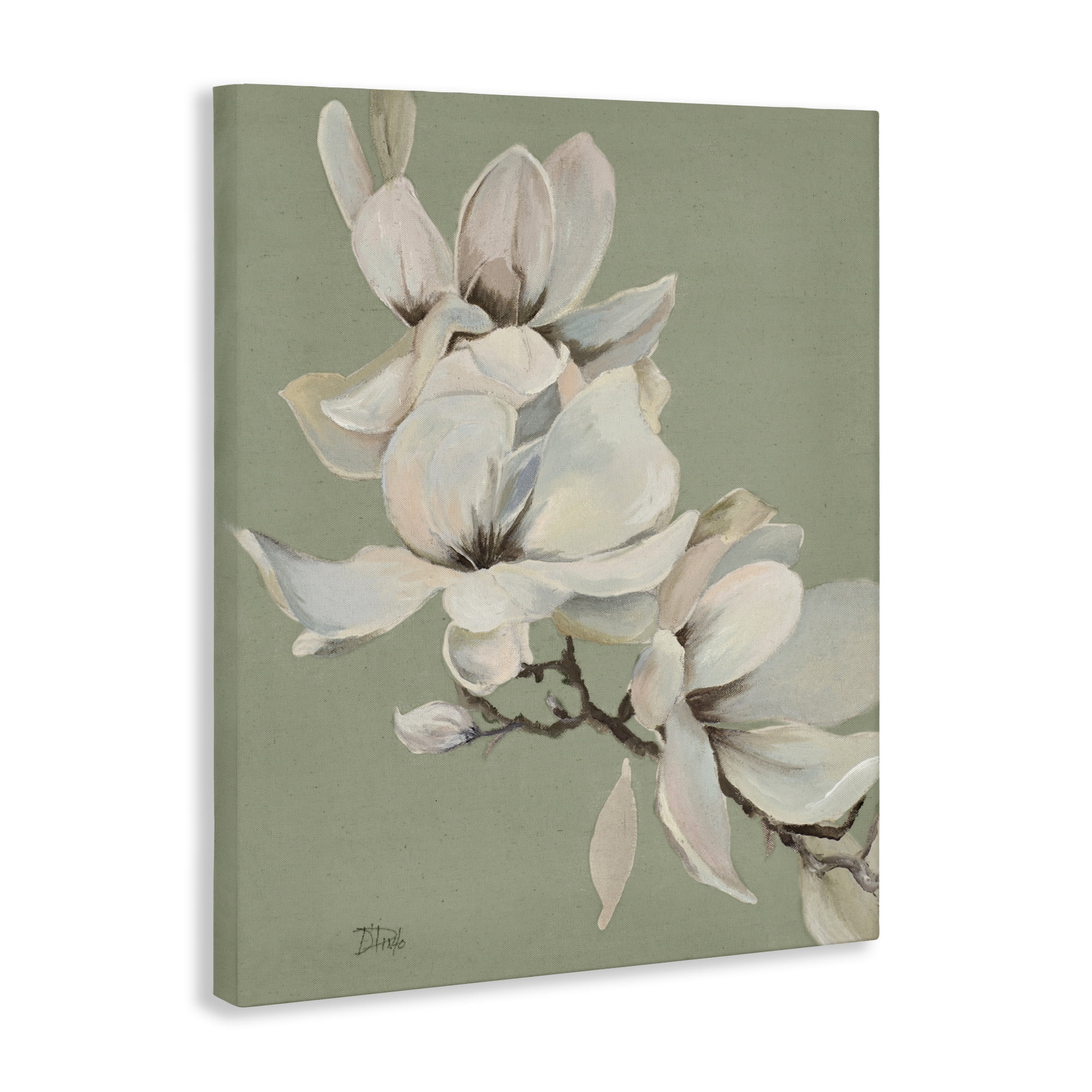 Stupell Industries Magnolias on Sage Florals Canvas Wall Art, design by Patricia Pinto