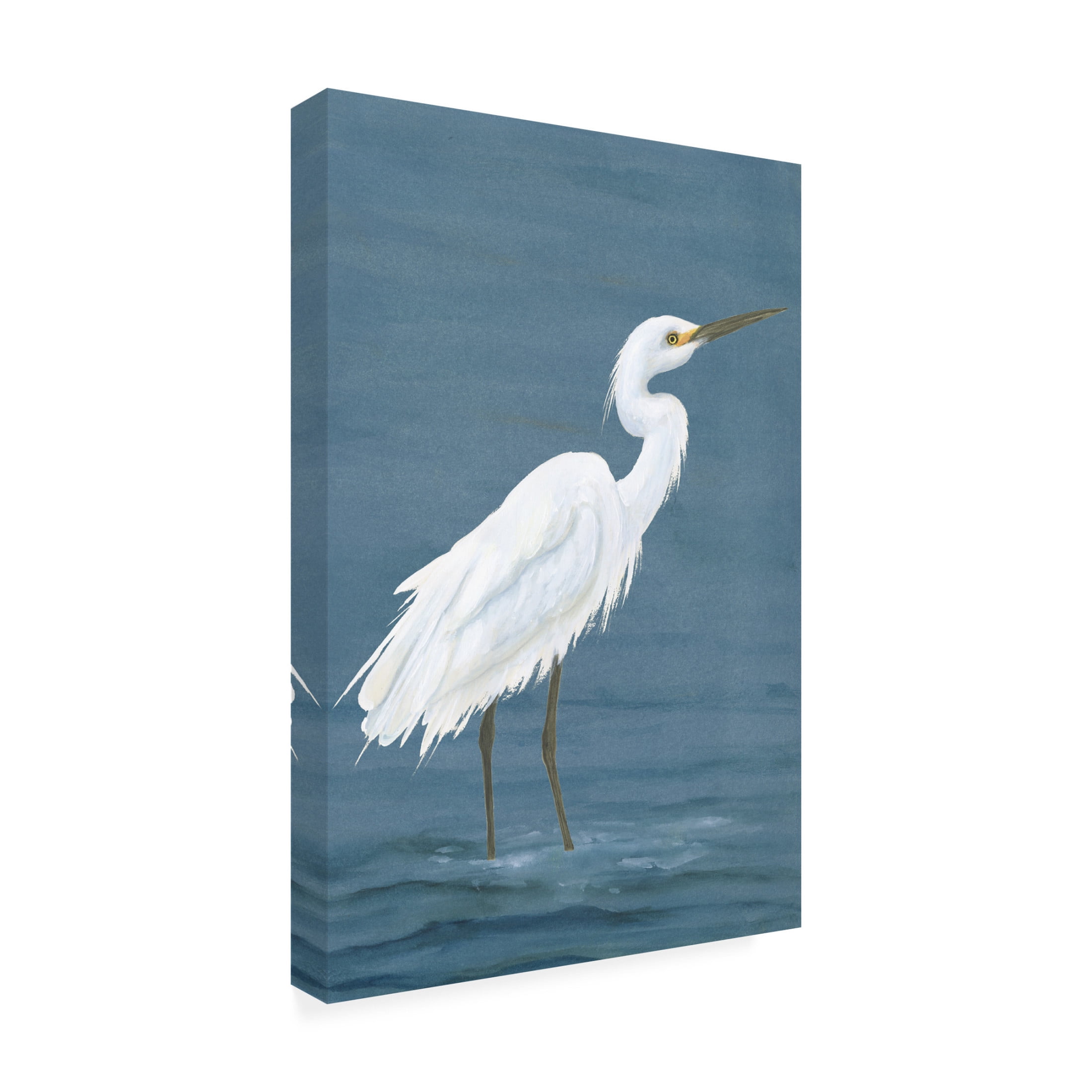 Trademark Fine Art Michael Willett  Wading Egret I Canvas Wall Art