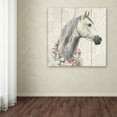 thumbnail image 3 of Trademark Fine Art 'Spirit Stallion I on wood Square' Canvas Art by James Wiens, 3 of 3