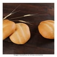 thumbnail image 1 of Telera por pza, 1 of 3