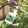 thumbnail image 2 of Bonide MossMax, 32 Oz. Ready To Spray Hose End Algae, Moss, & Lichen Control 728 — Garden & Landscape Use, Standard Connection, 2 of 7