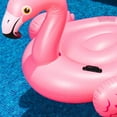 thumbnail image 5 of ®Rising FF Inflatable Swimming Ring Underarm Ring Thickened Flamingo Holder 142*137*97cm Air Pump Not Included, 5 of 5
