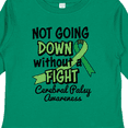 thumbnail image 4 of Inktastic Not Going Down Without a Fight Cerebral Palsy Awareness Boys or Girls Long Sleeve Toddler T-Shirt, 4 of 5