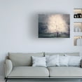 thumbnail image 2 of Canvas Wall Art - Delphine Devos 'Apple Tree In Bloom' Wall Art for Living Room, Bedroom, or Office Décor by Trademark Fine Art - 47 x 35 Inches, 2 of 4