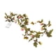 thumbnail image 2 of Cadena de luz decorativa de flores Jadeshay Cadena de luces de flores 20 luces LED, 2 of 8
