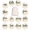 thumbnail image 1 of Monthly Milestone Wooden Circles Burbell Hello World, paquete de 7 unidades, 1 of 7