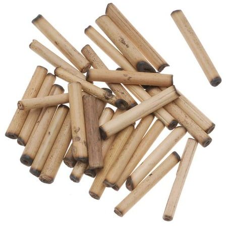 Bamboo Coral Beads - Natural Wood Bamboo Sleek Tube Beads 31mm x 4mm (100 loose beads)