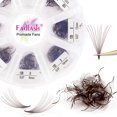 thumbnail image 1 of Extensiones de pestañas FADLASH 10D, 1000 unidades, abanicos prefabricados, color marrón, 1 of 8