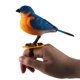 thumbnail image 2 of Control de voz de simulación Pájaro de un solo pájaro clip de dedo correa de reloj pájaro eléctrico, 2 of 5
