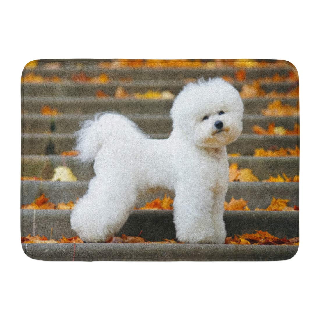 Dog bath mat 2025