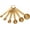Gold, variant on 6PCS Measuring Spoons Set, Premium Heavy Duty Stainless Steel Metal Kitchen Measuring Tools Set, for Cooking Baking, for Dry or Liquid, Fits in Spice Jar - Sliver