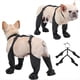 thumbnail image 3 of Zapatos para Perros Protectores de Patas de Perro Impermeables a Prueba de Suciedad con Tirantes Botines de Lluvia para Perros Antideslizantes para Invierno Nieve al Aire Libre,M, 3 of 10