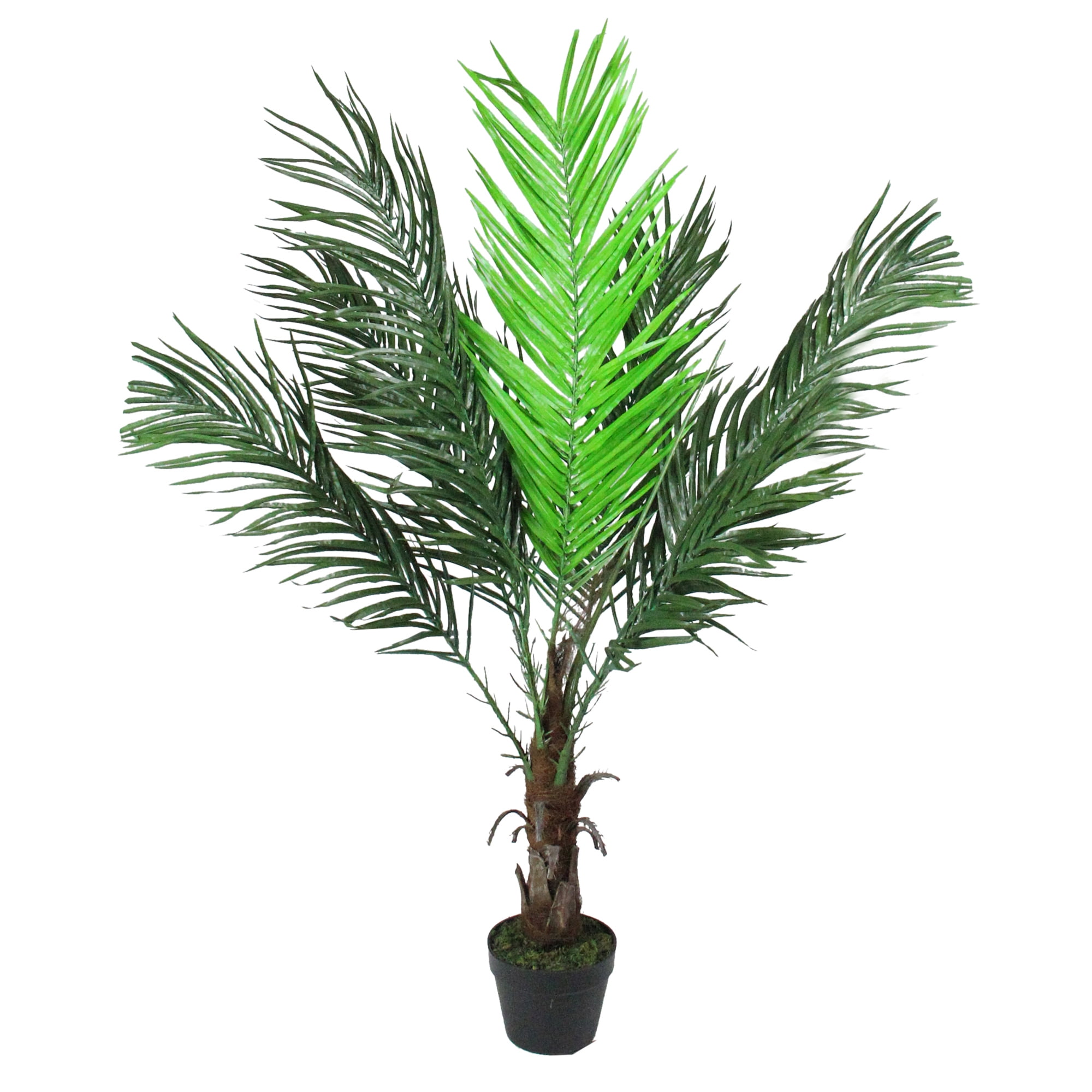 47.25" Potted Brown and Green Artificial Phoenix Palm Tree