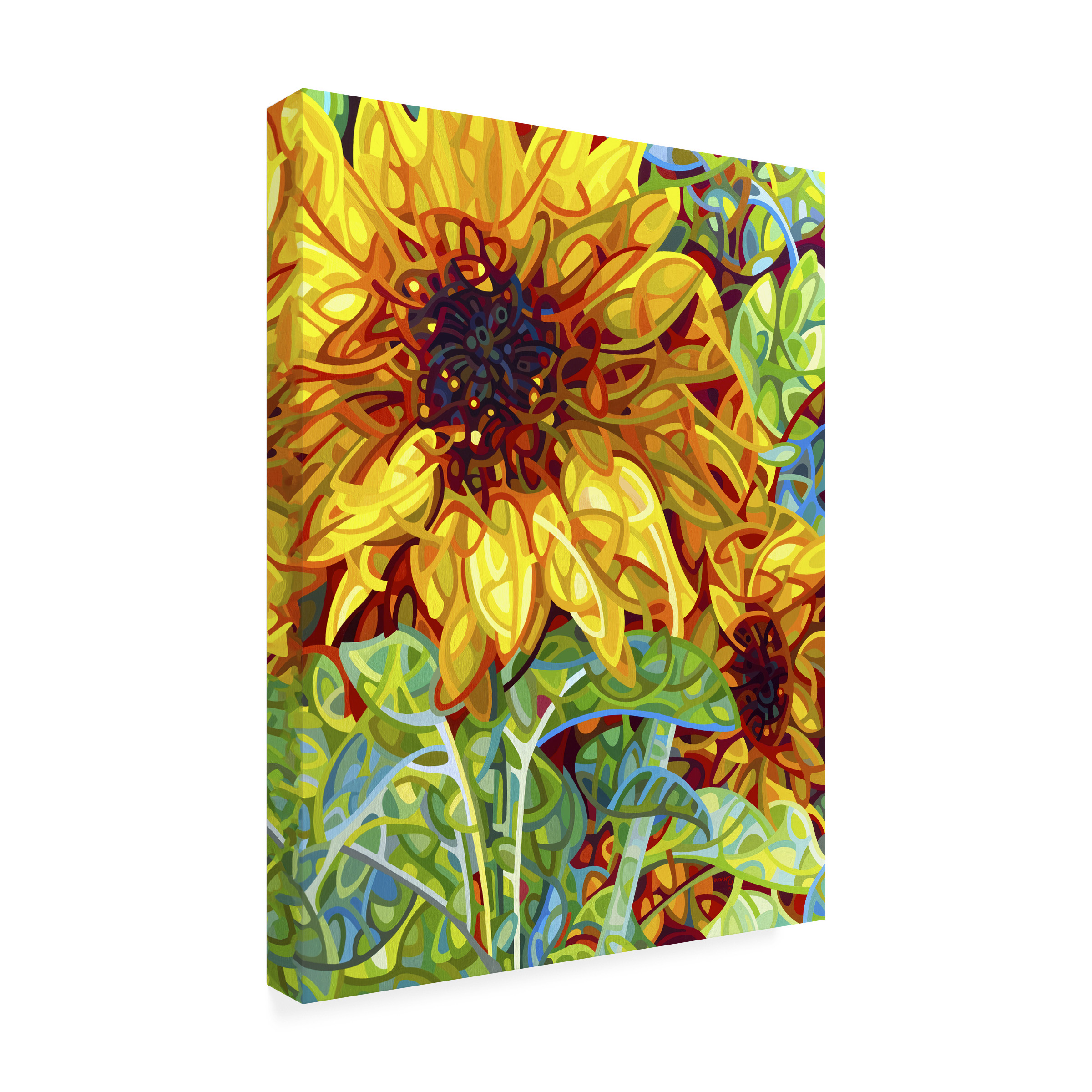 Mandy Budan 'Summer In The Garden' Canvas Art
