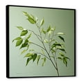 thumbnail image 2 of Designart "Minimalism In Lime Lightness Leaves" Leaves Floater Framed Canvas Prints, 2 of 5