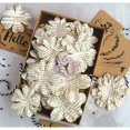 thumbnail image 2 of Prima Marketing Boxed Flowers-Documented Beauty W/Tags 1.5"-2.25" 48pk, Pk 2, 2 of 2