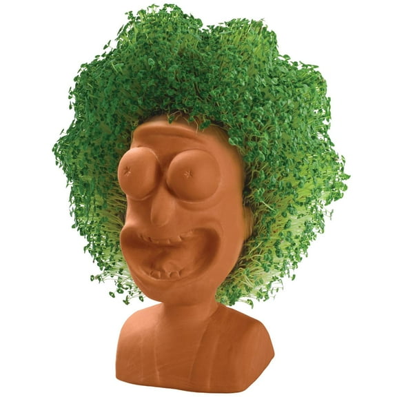 Rick & Morty Chia Pet Rick Handmade Decorative Planter by JEI