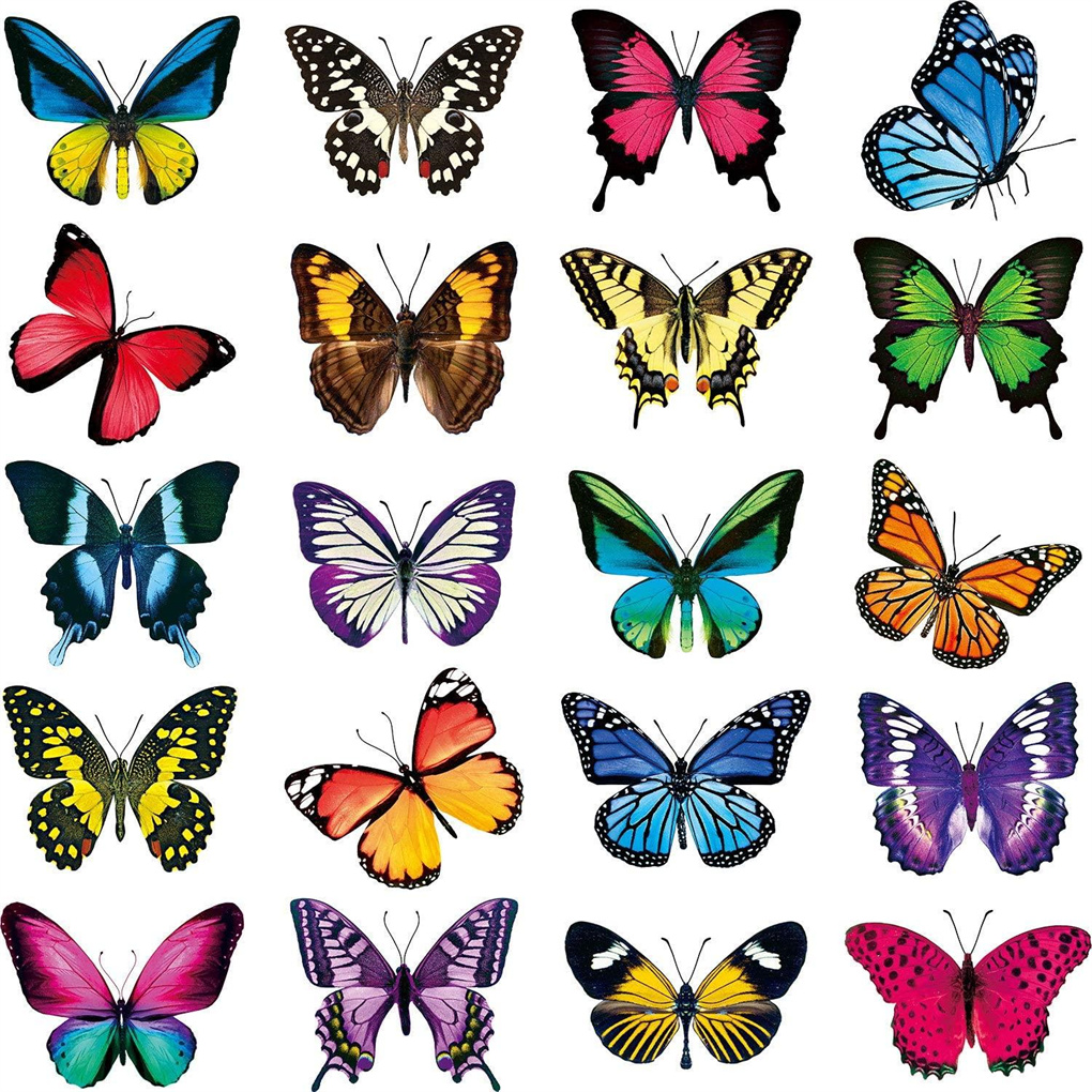 Butterfly Window Stickers Anticollision Window Clings Film Stained