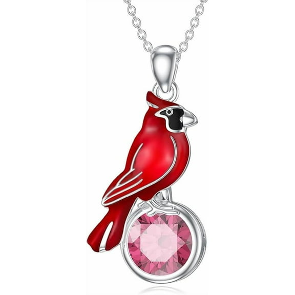 SOULMEET Cardinal Necklace with Birthstone 925 Sterling Silver Red Bird Necklace Memorial Cardinals Appear When Angels Are Near Jewelry Gifts for Women Mom
