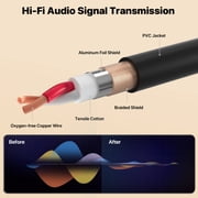 EBXYA 2ft Shielded XLR Cable 2-Pack - 3-Pin Balanced Audio, M/F for Microphones, PA Systems, Copper Shielded