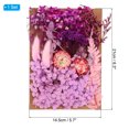 thumbnail image 2 of Unique Bargains Fleurs Séchées Naturelles Multiples Colorées Véritables Fleurs Séchées Pressées Plante Violet Pâle, 2 of 5