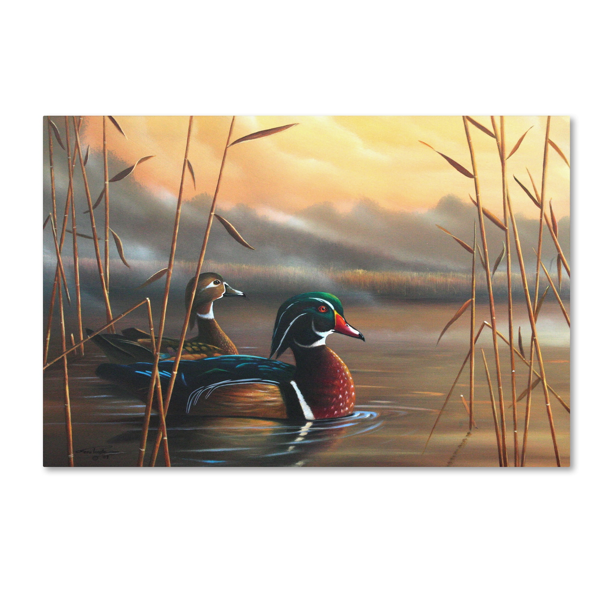 Trademark Fine Art 'Wood Ducks' Canvas Art by Geno Peoples Walmart