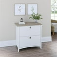 thumbnail image 2 of Scranton & Co Furniture Salinas 2 Drawer File Cabinet in White/Shiplap Gray, 2 of 7