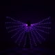 thumbnail image 1 of Alas doradas, alas luminosas LED de colores del arco iris, alas de baile, mariposa fluorescente, alas luminosas para danza del vientre, capa, 1 of 6